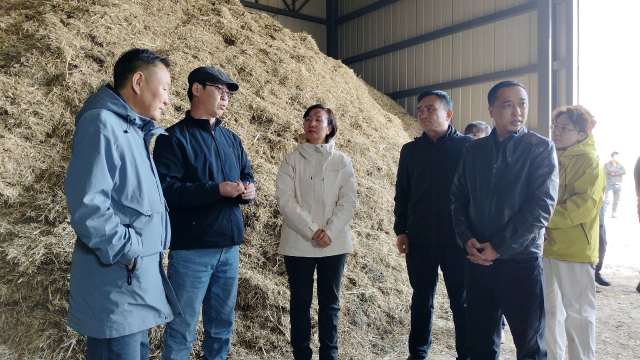 D:\桌面\公众号\4月\来源-陈巴尔虎旗人民政府\4.21\陶丽实地调研当前各项重点工作\11.jpg