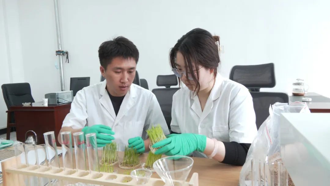 D:\桌面\蒙古文网站信息发布数据备案及存档\“新闻”栏目\“图片信息”栏目\图片新闻图片\20250513-1今日陈旗 (2).jpg